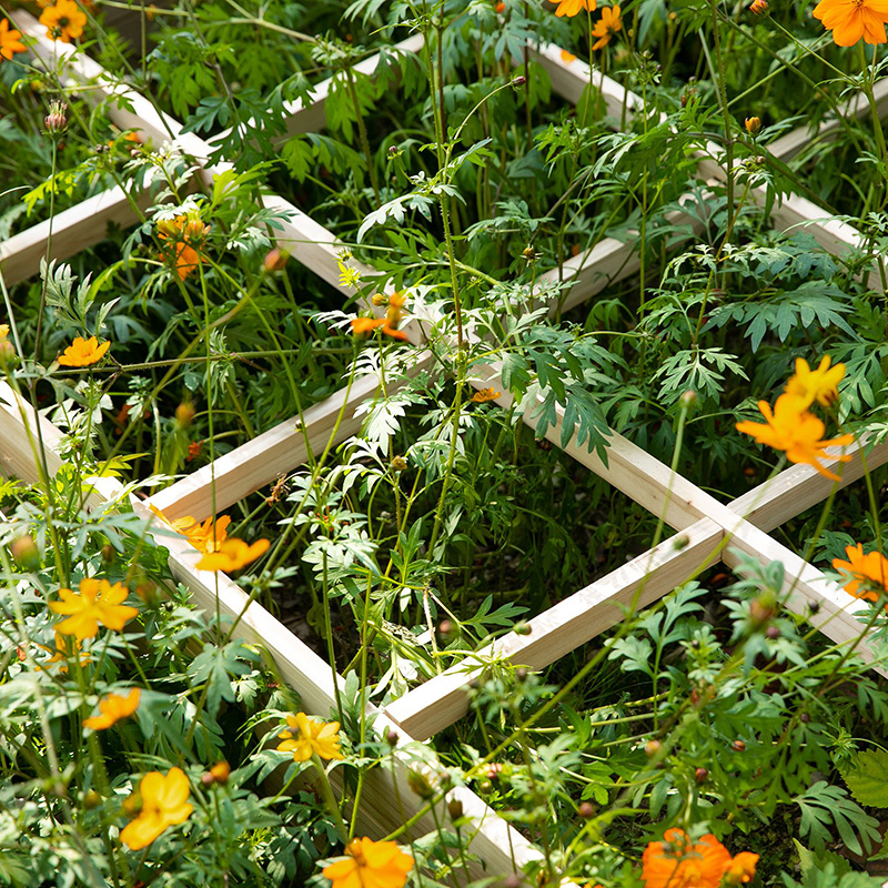 Boîte de lit de jardin surélevée de 3,9 pi x 3,9 pi avec grille de croissance segmentée, matériau en bois pour plantes et herbes de jardin