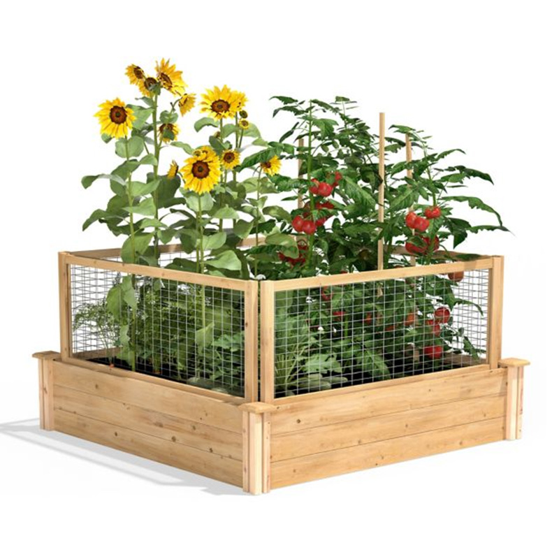 Boîte de lit de jardin surélevée de 3,9 pi x 3,9 pi avec grille de croissance segmentée, matériau en bois pour plantes et herbes de jardin